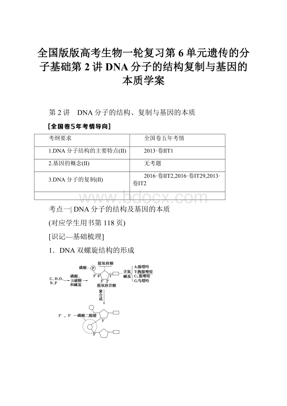 全国版版高考生物一轮复习第6单元遗传的分子基础第2讲DNA分子的结构复制与基因的本质学案.docx