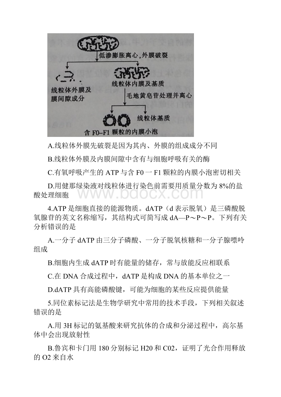 届河北省邢台市高三质量检测生物试题.docx_第2页