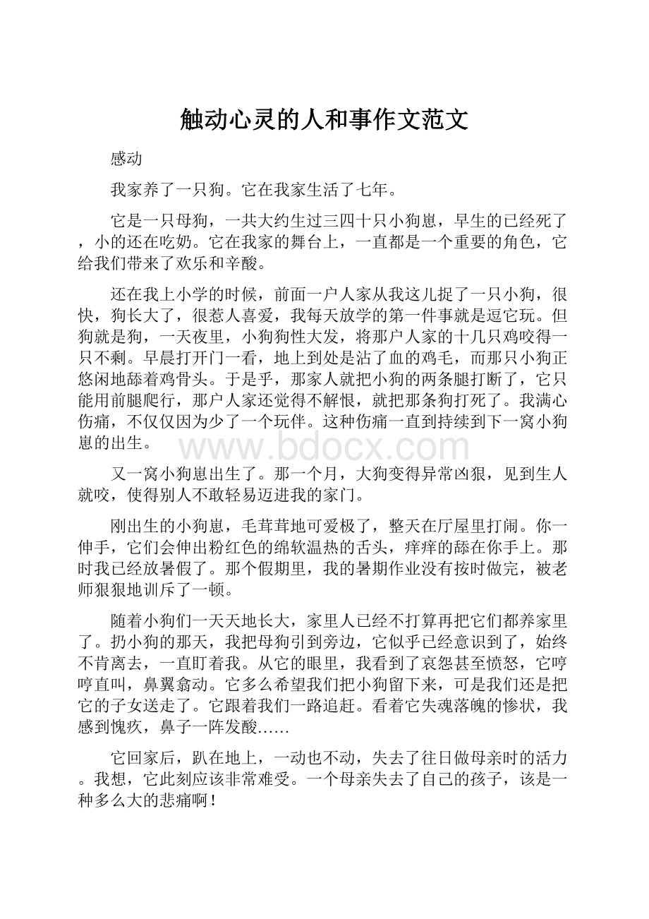 触动心灵的人和事作文范文.docx