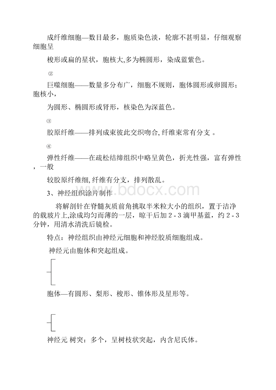 《解剖生理学实验》教案.docx_第2页