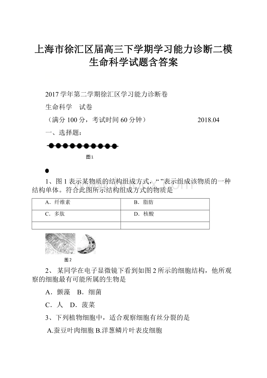 上海市徐汇区届高三下学期学习能力诊断二模生命科学试题含答案.docx