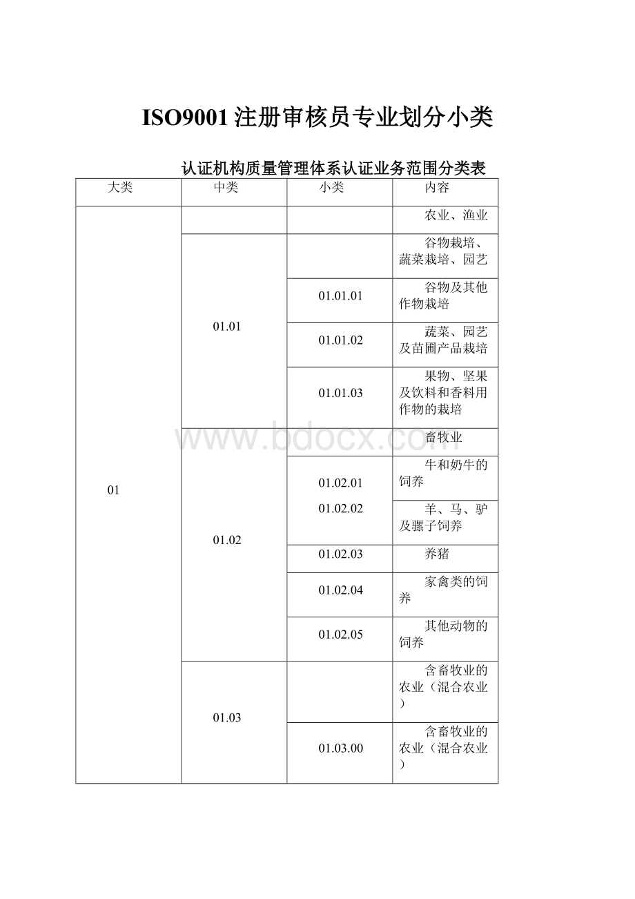 ISO9001注册审核员专业划分小类.docx