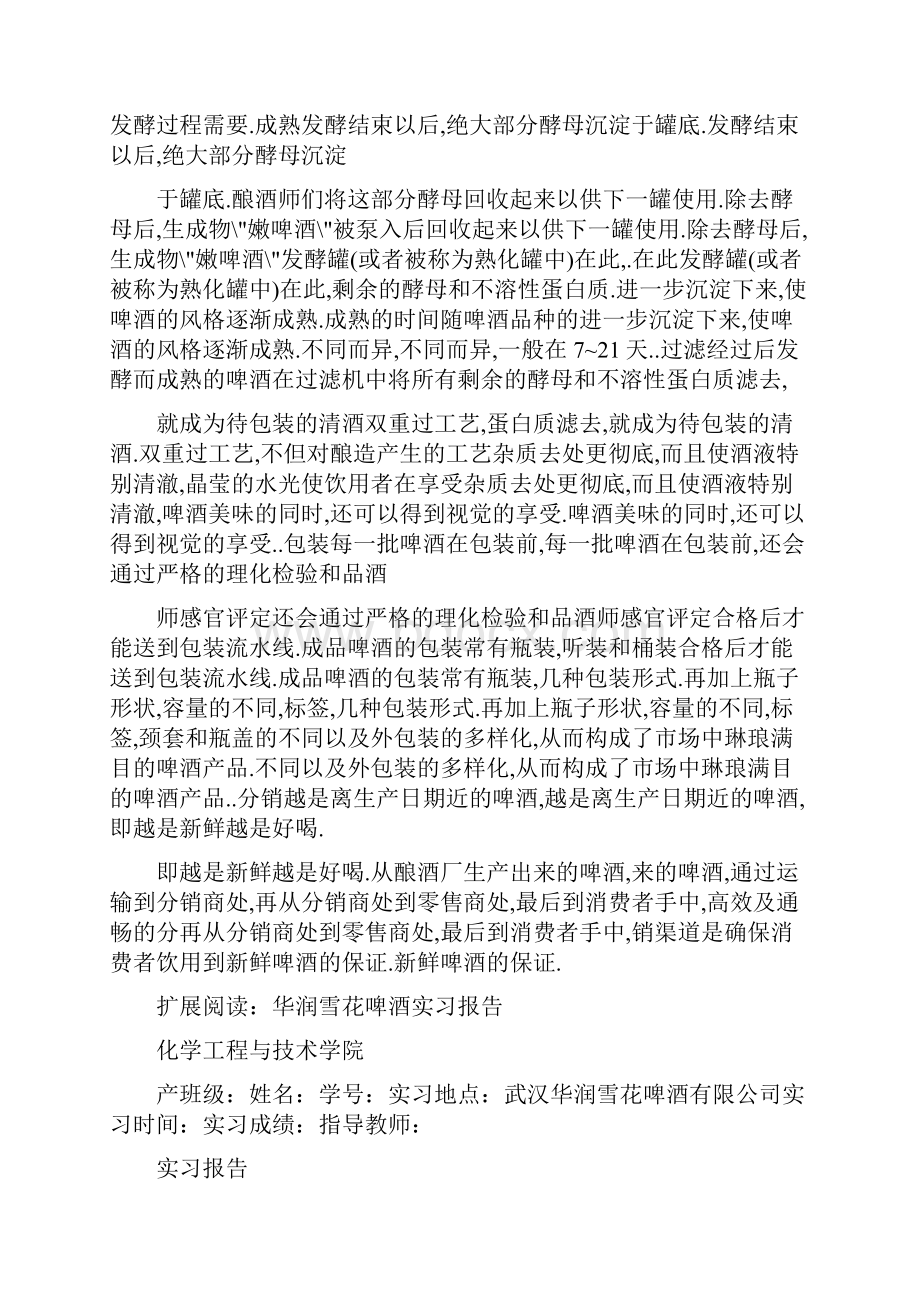 雪花啤酒见习报告.docx_第3页