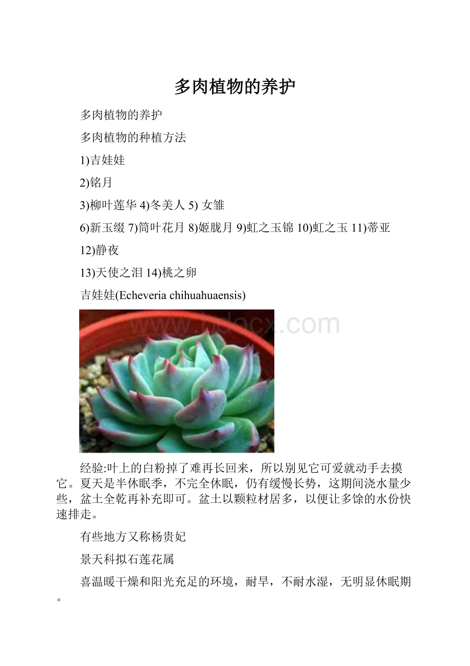 多肉植物的养护.docx_第1页