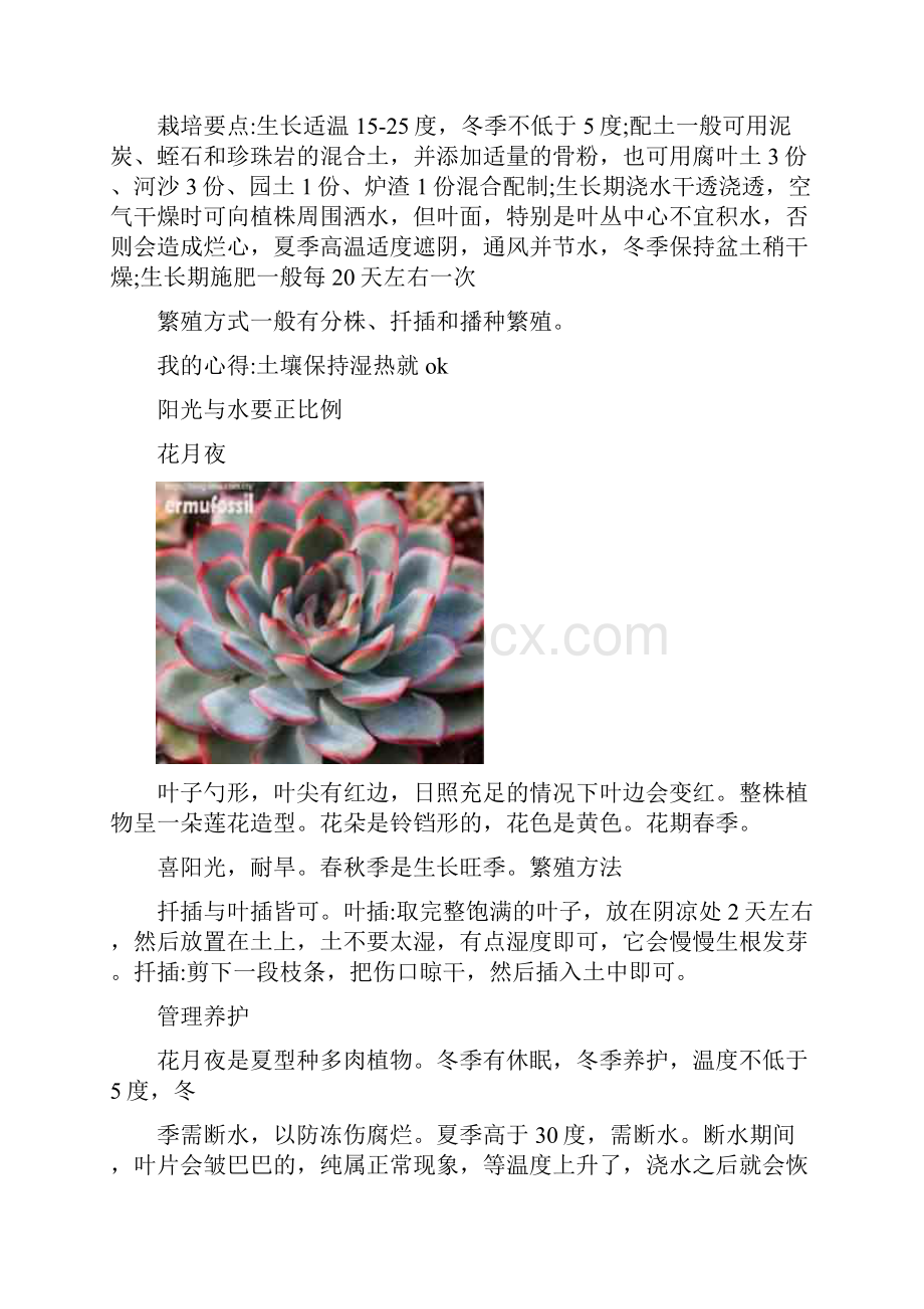 多肉植物的养护.docx_第2页