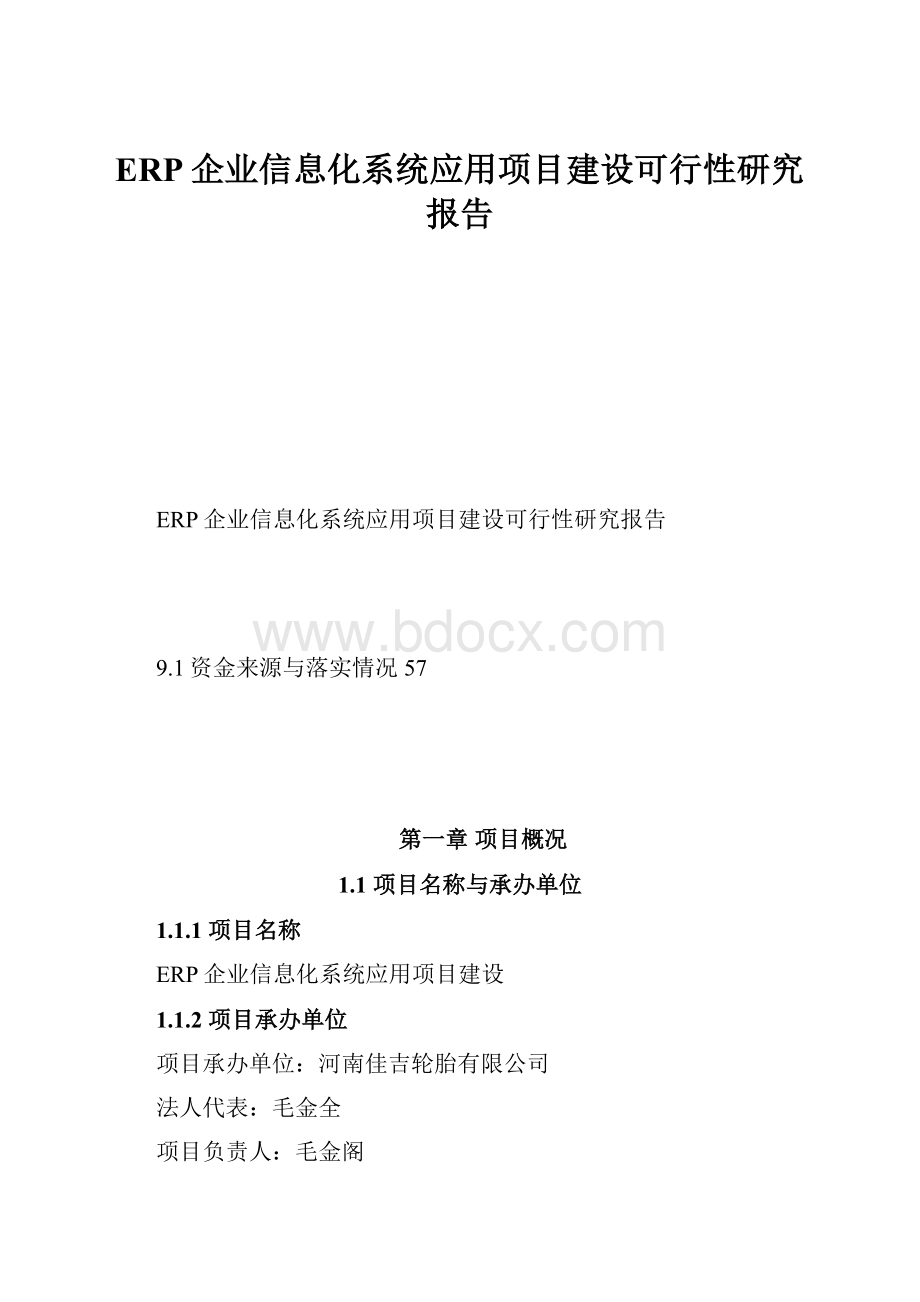 ERP企业信息化系统应用项目建设可行性研究报告.docx