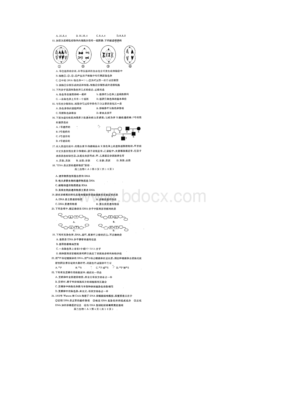 洛阳市学年高二上学期期中考试生物试题扫描版无答案.docx_第2页