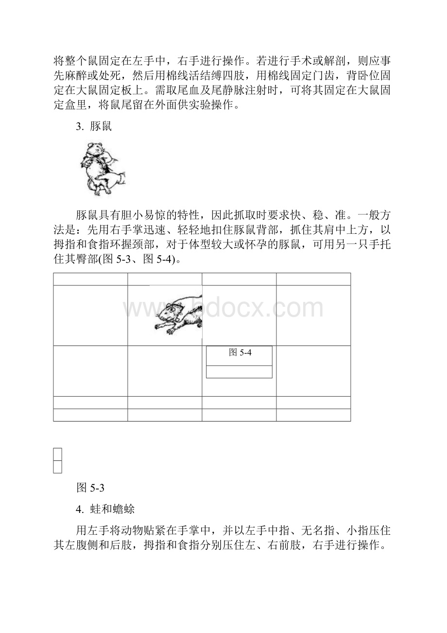 动物实验的基本操作.docx_第2页