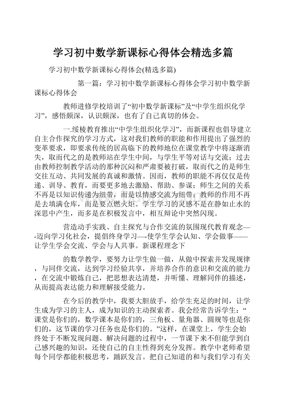 学习初中数学新课标心得体会精选多篇.docx