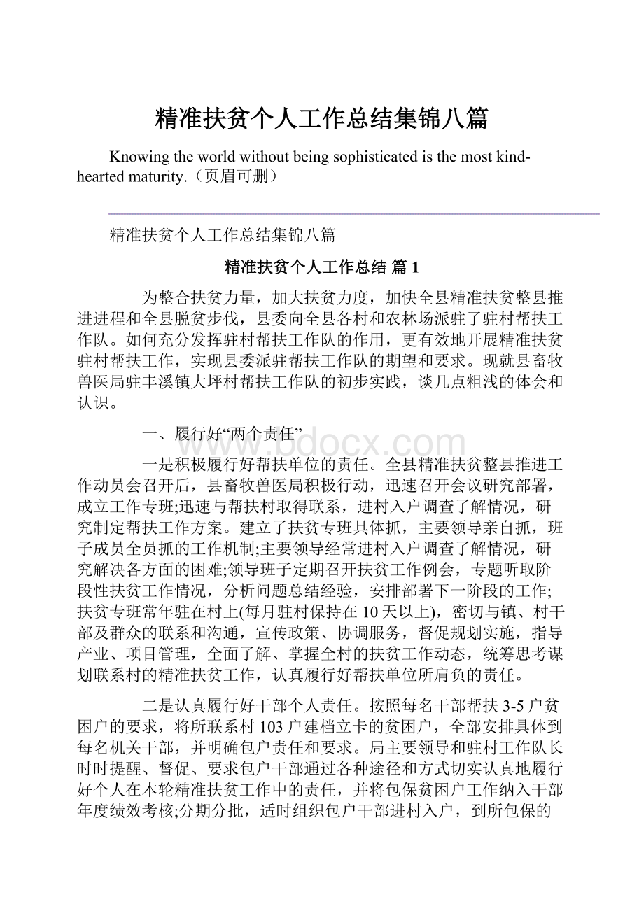 精准扶贫个人工作总结集锦八篇.docx