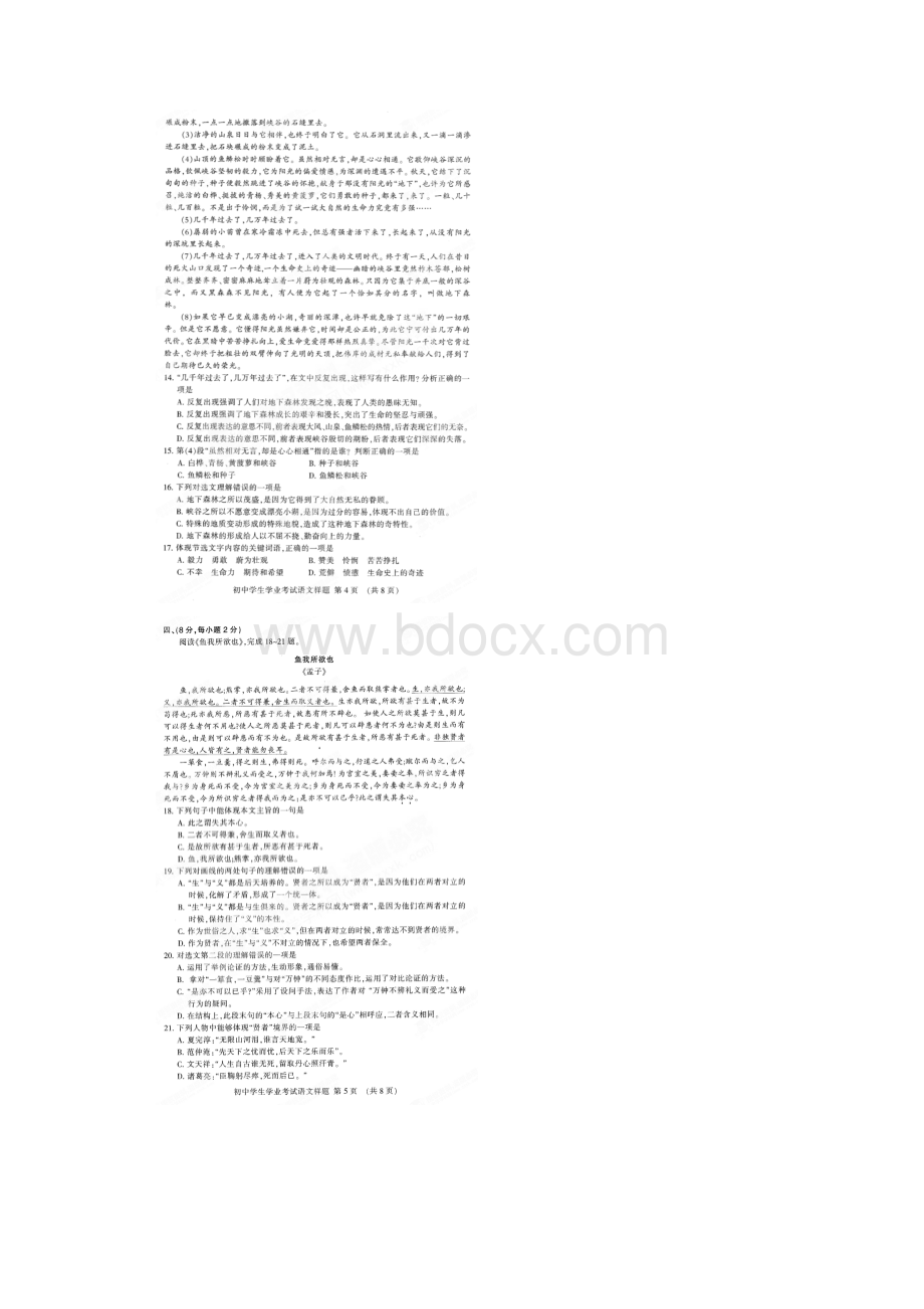 山东省泰安市泰山区届初中语文学业水平摸底考试试题.docx_第3页