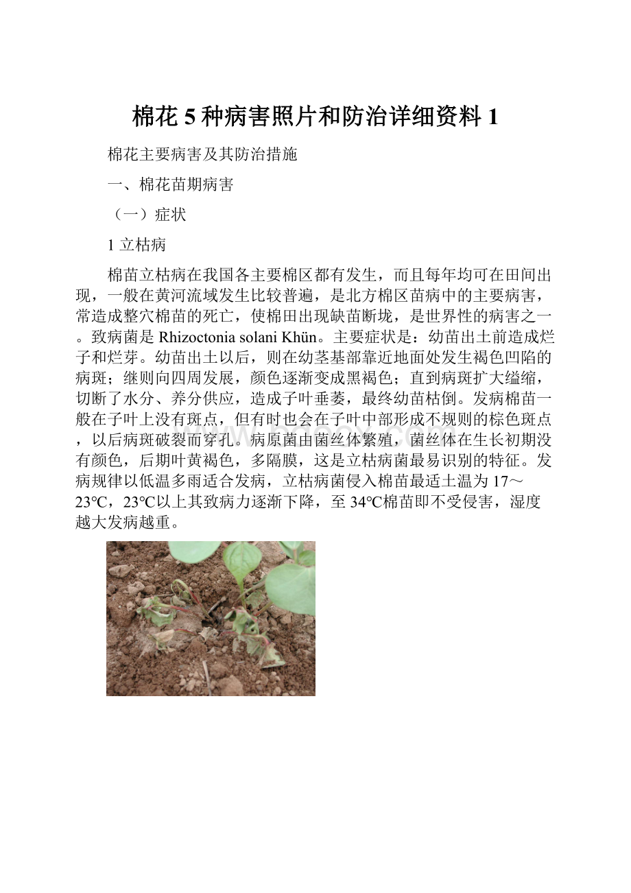 棉花5种病害照片和防治详细资料1.docx_第1页