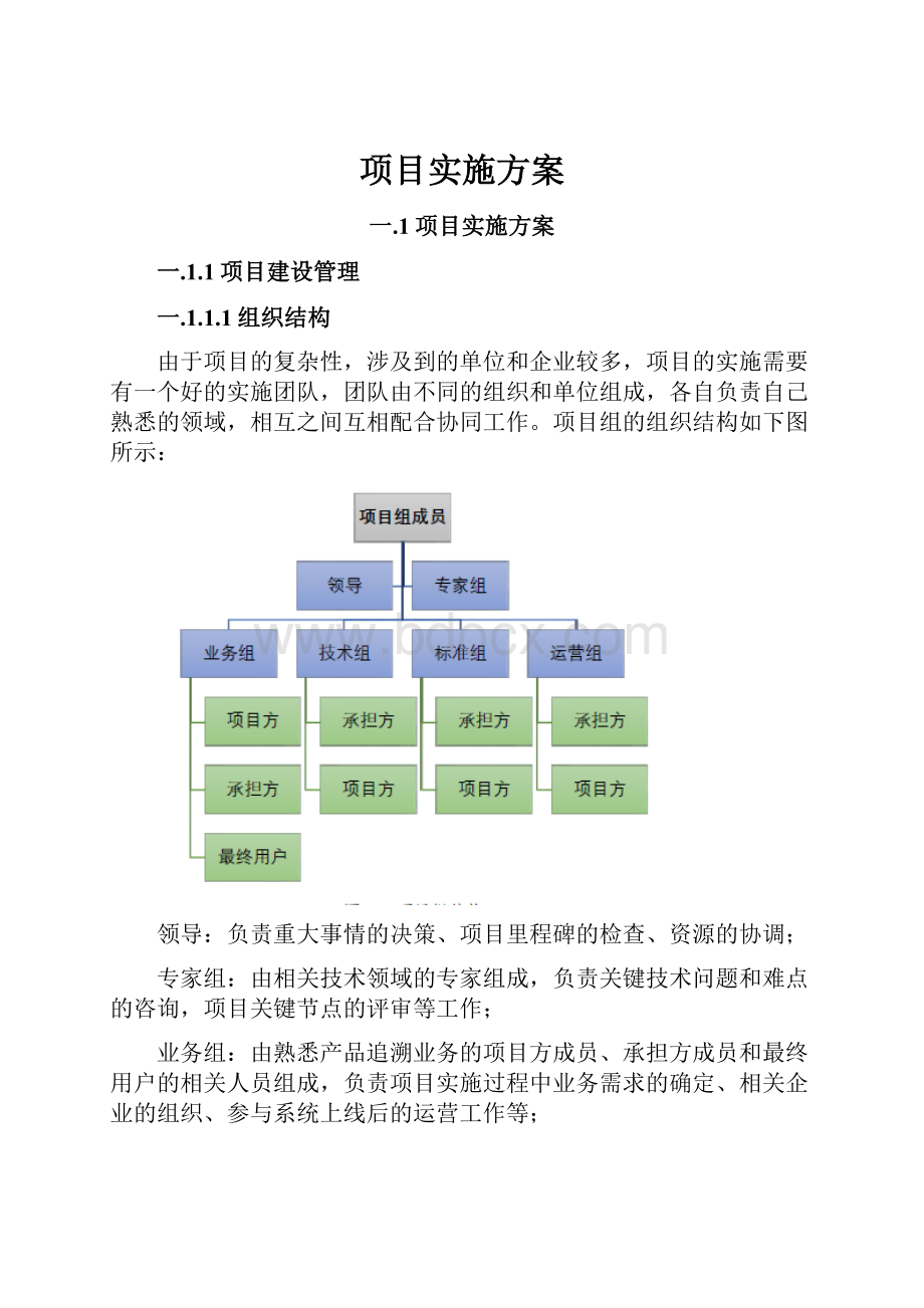 项目实施方案.docx