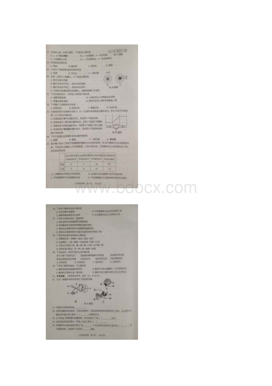 广东省东莞市学年七年级生物下册期末考试题.docx_第2页