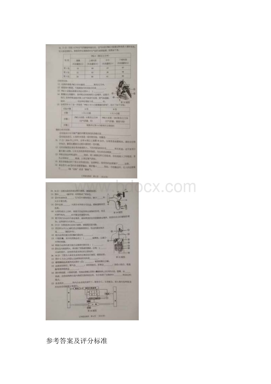 广东省东莞市学年七年级生物下册期末考试题.docx_第3页