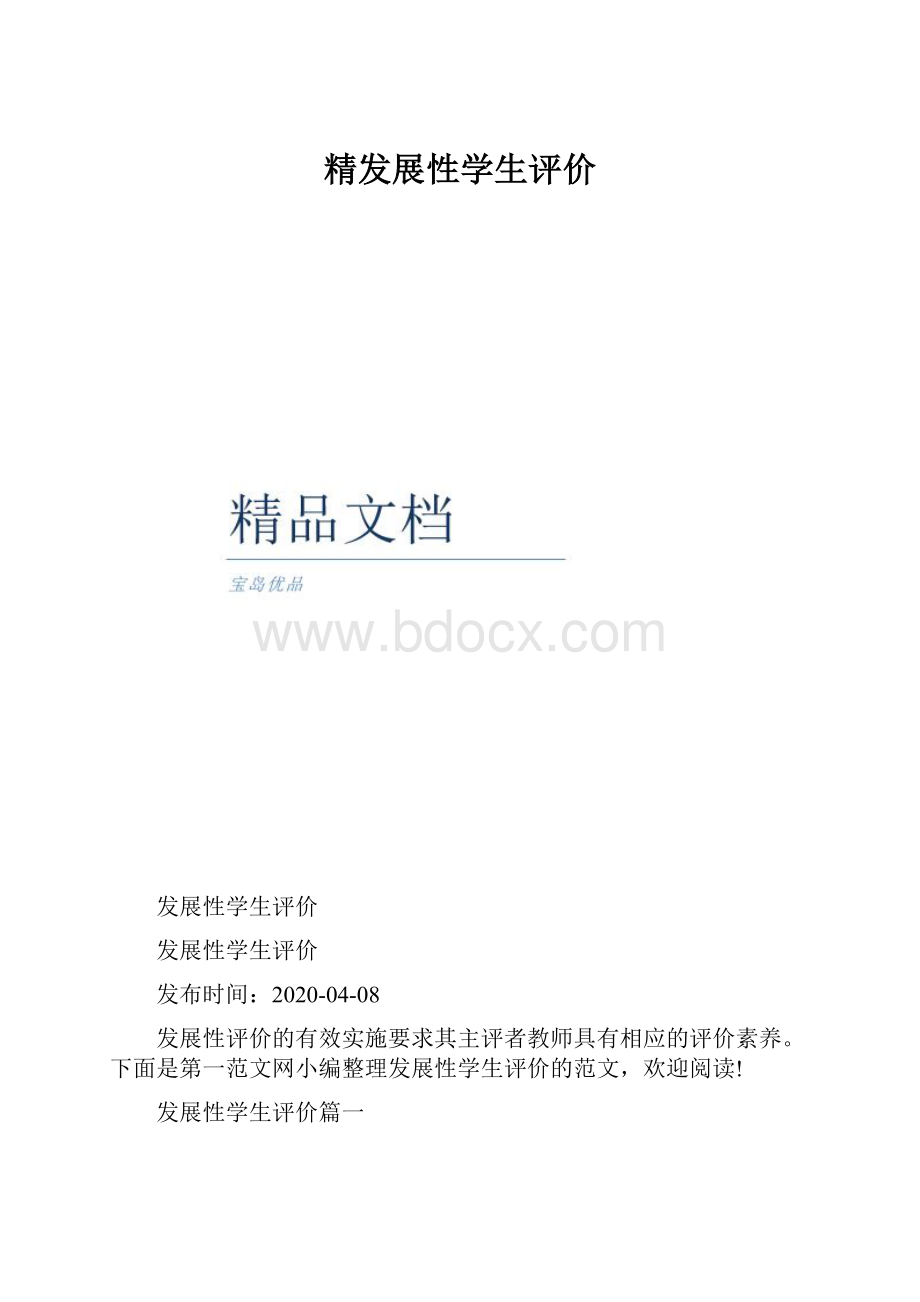 精发展性学生评价.docx