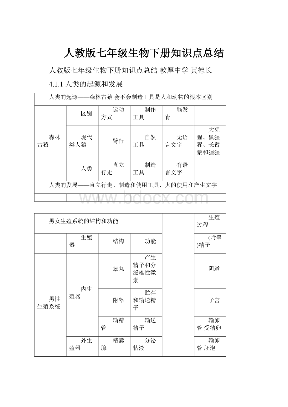 人教版七年级生物下册知识点总结.docx