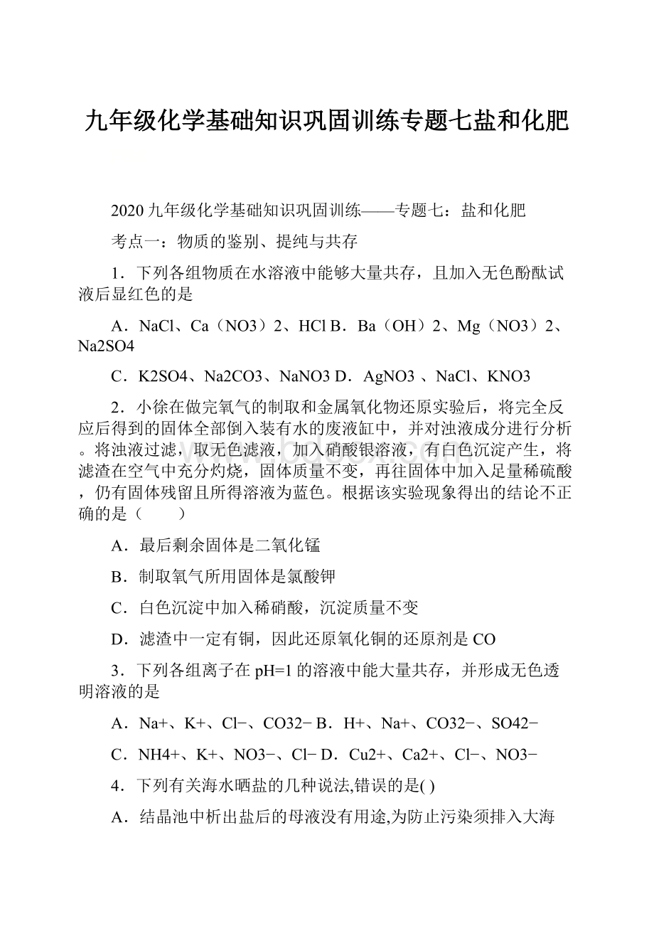 九年级化学基础知识巩固训练专题七盐和化肥.docx_第1页