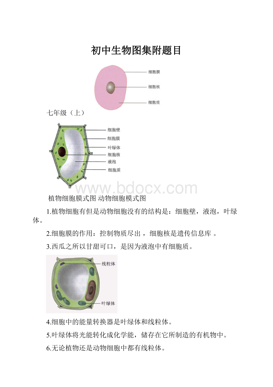 初中生物图集附题目.docx_第1页