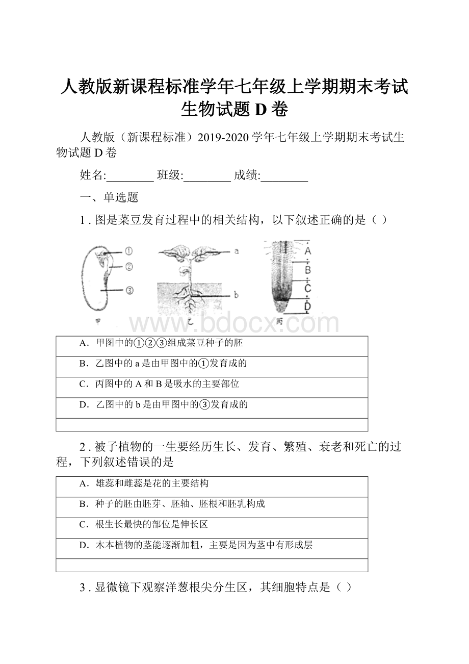 人教版新课程标准学年七年级上学期期末考试生物试题D卷.docx_第1页