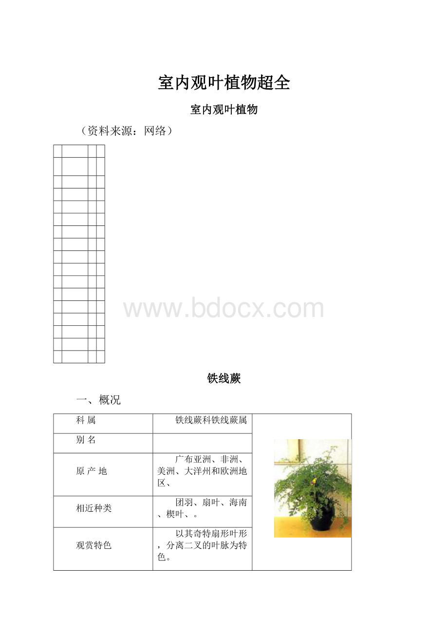 室内观叶植物超全.docx