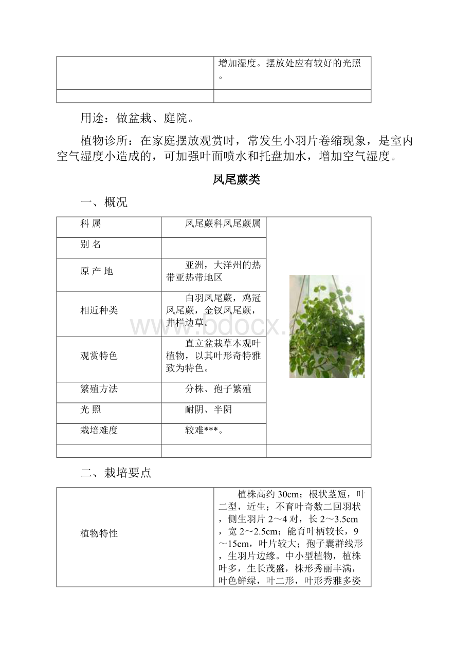 室内观叶植物超全.docx_第3页