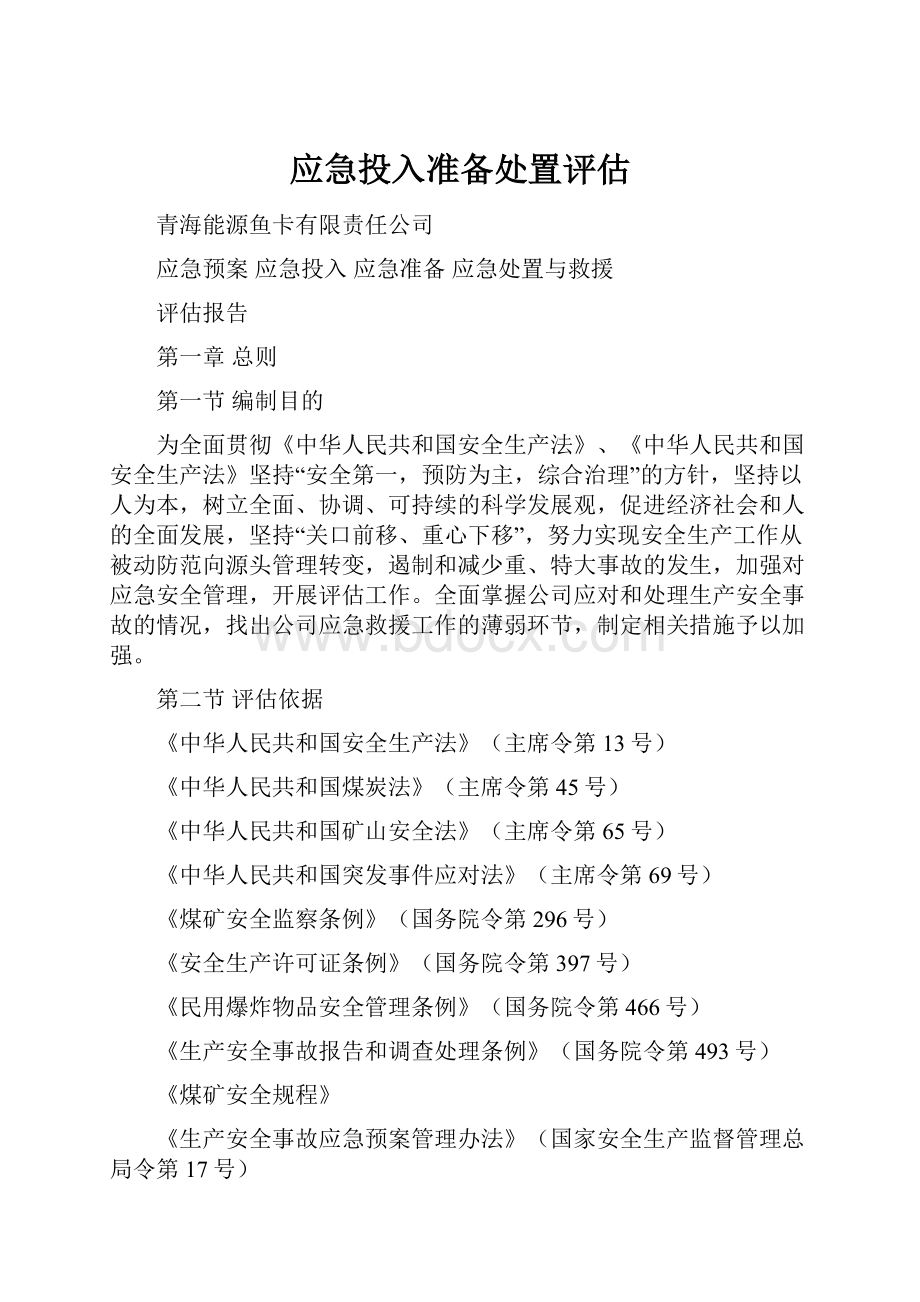 应急投入准备处置评估.docx_第1页