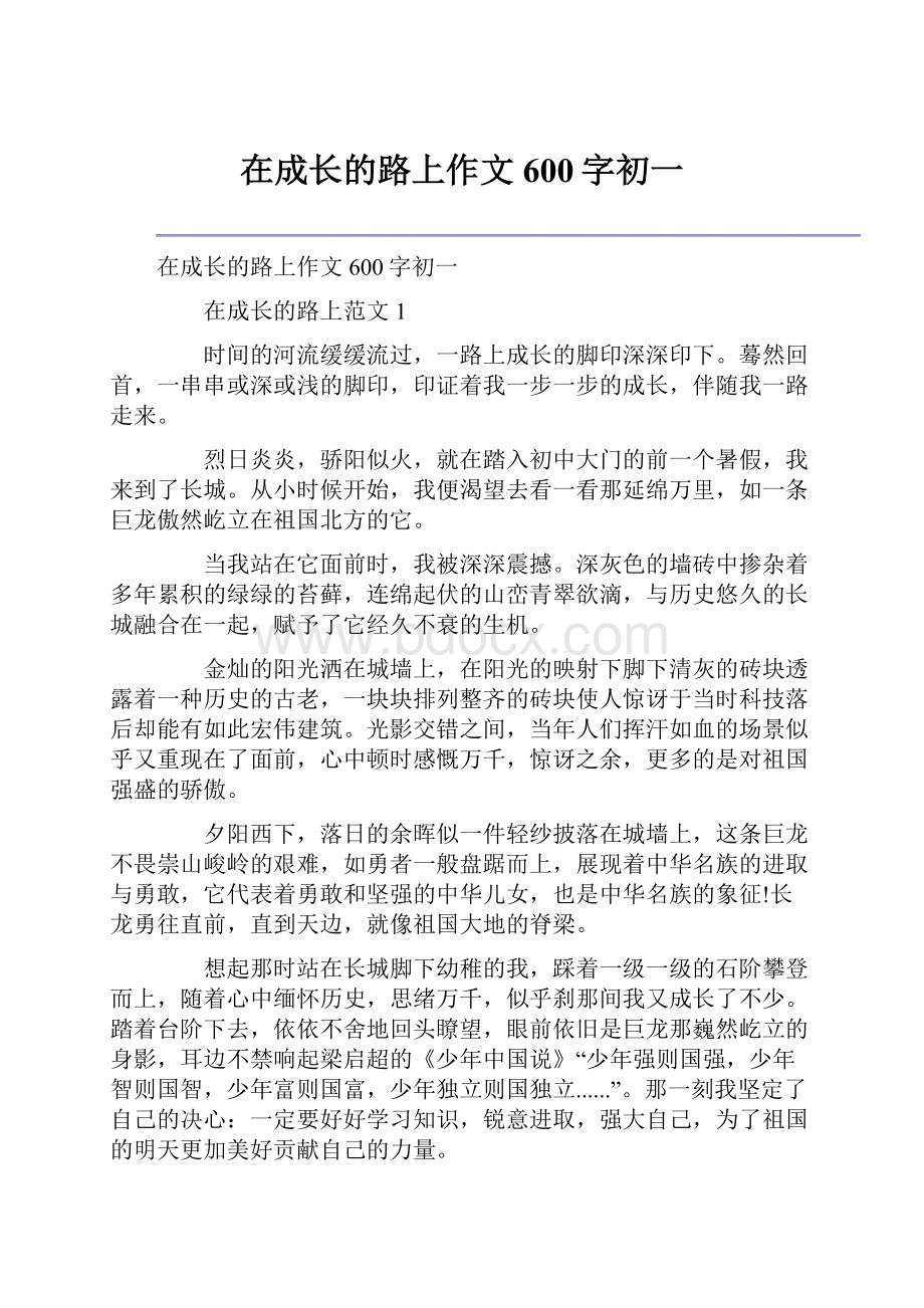 在成长的路上作文600字初一.docx_第1页