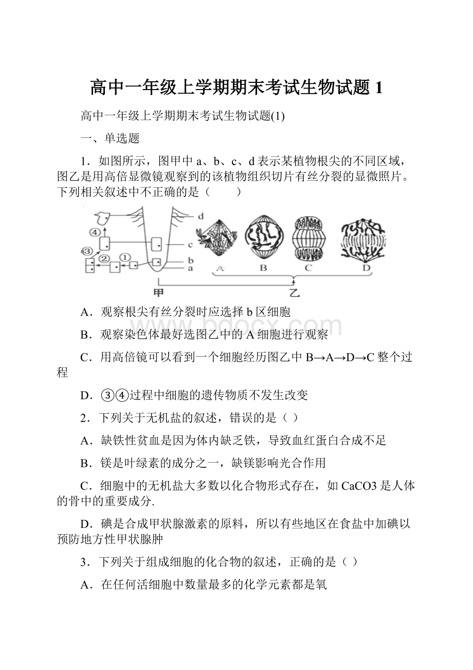 高中一年级上学期期末考试生物试题1.docx_第1页