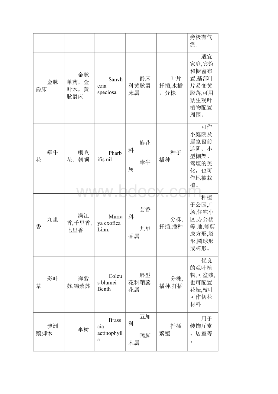 常见观赏植物识别.docx_第3页