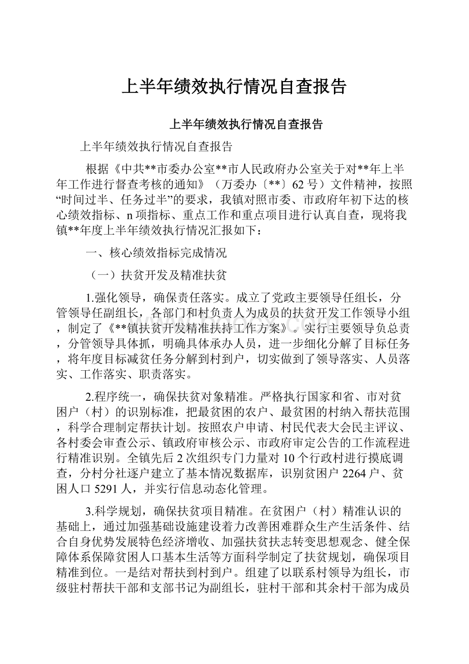 上半年绩效执行情况自查报告.docx_第1页