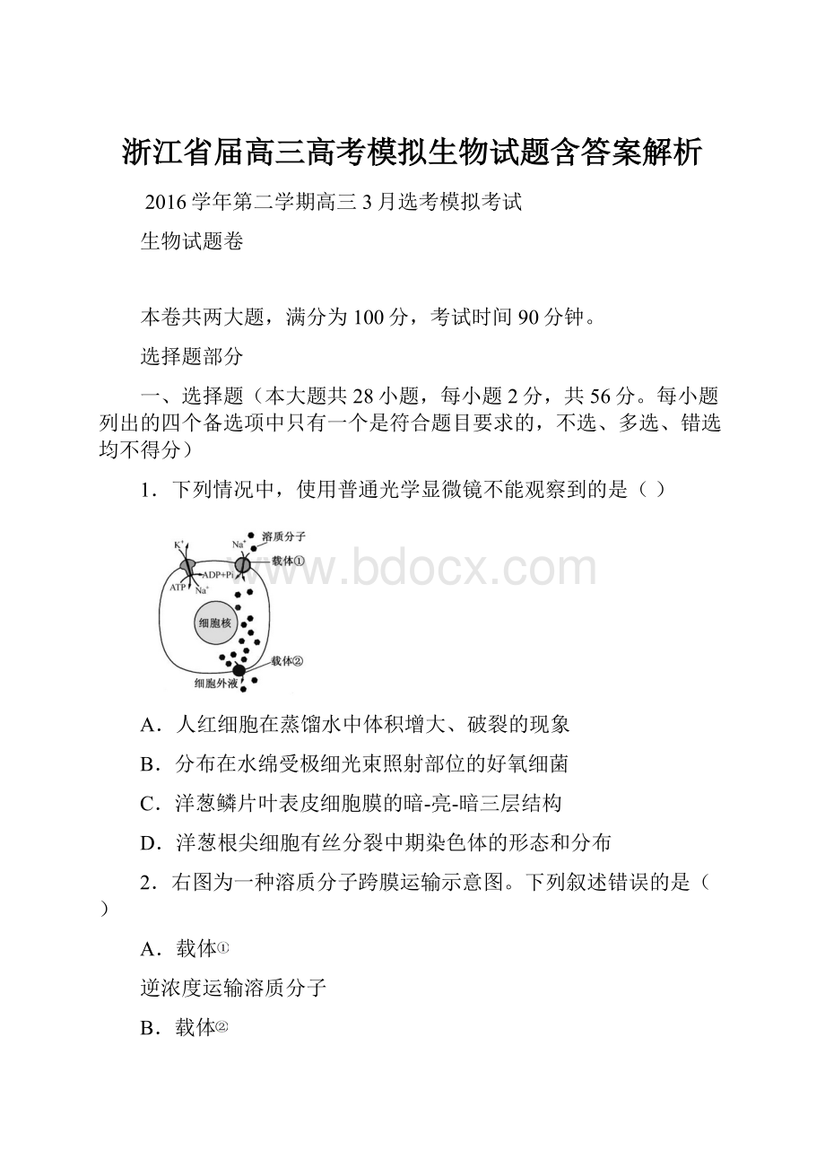 浙江省届高三高考模拟生物试题含答案解析.docx