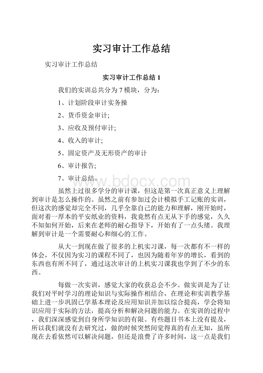 实习审计工作总结.docx