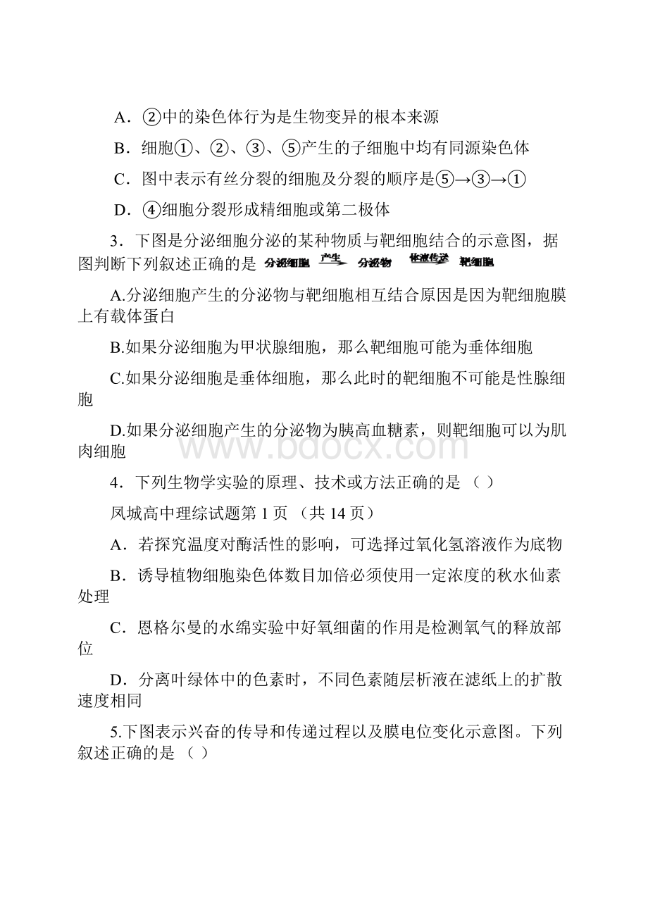 山东省凤城高中届高三模拟检测理综试题.docx_第2页