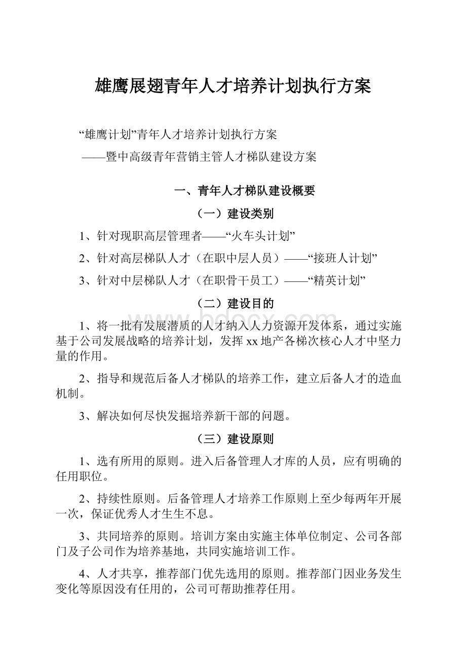 雄鹰展翅青年人才培养计划执行方案.docx_第1页