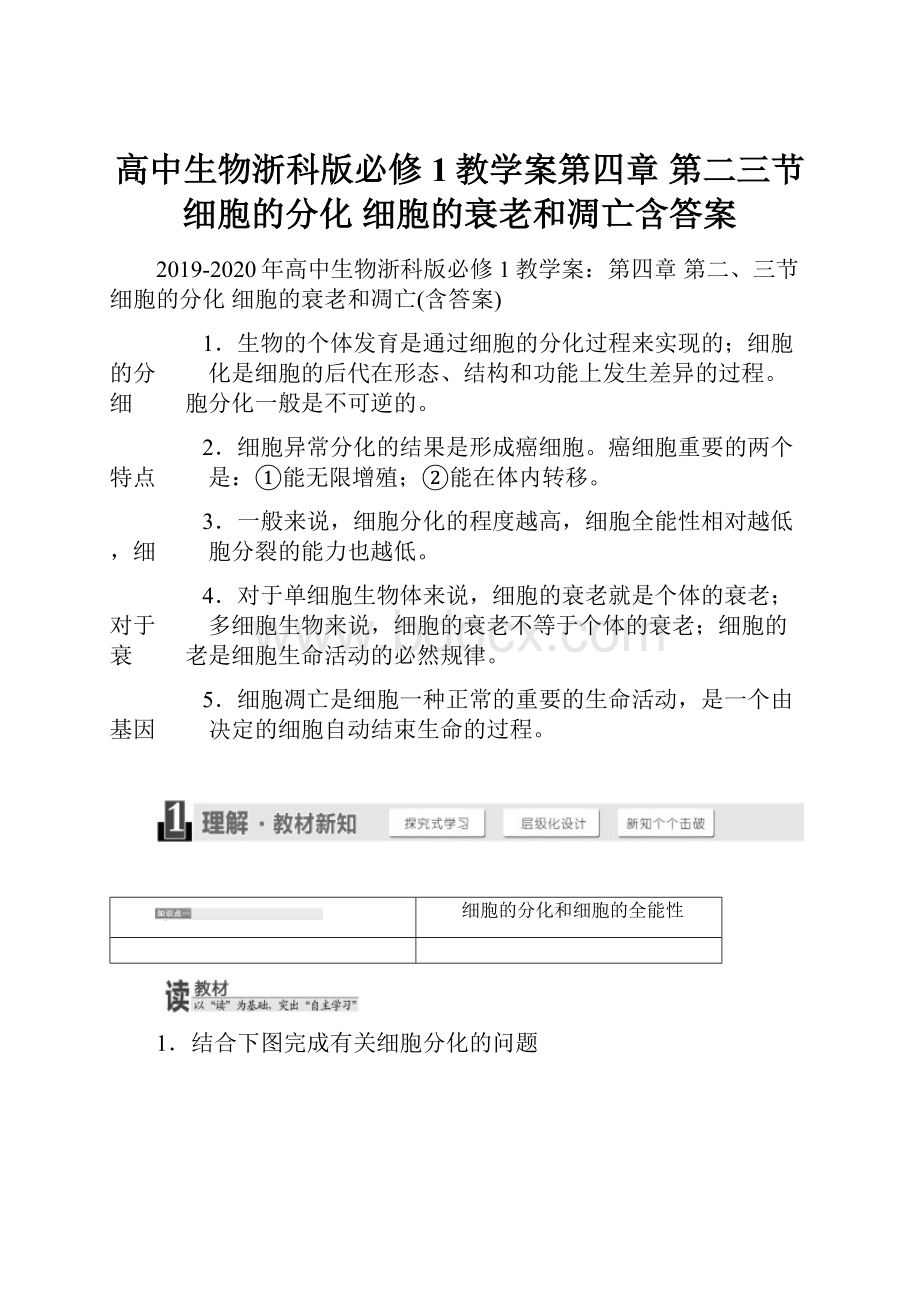 高中生物浙科版必修1教学案第四章 第二三节 细胞的分化 细胞的衰老和凋亡含答案.docx