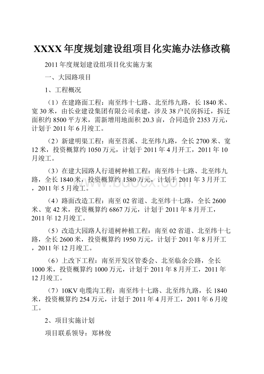 XXXX年度规划建设组项目化实施办法修改稿.docx