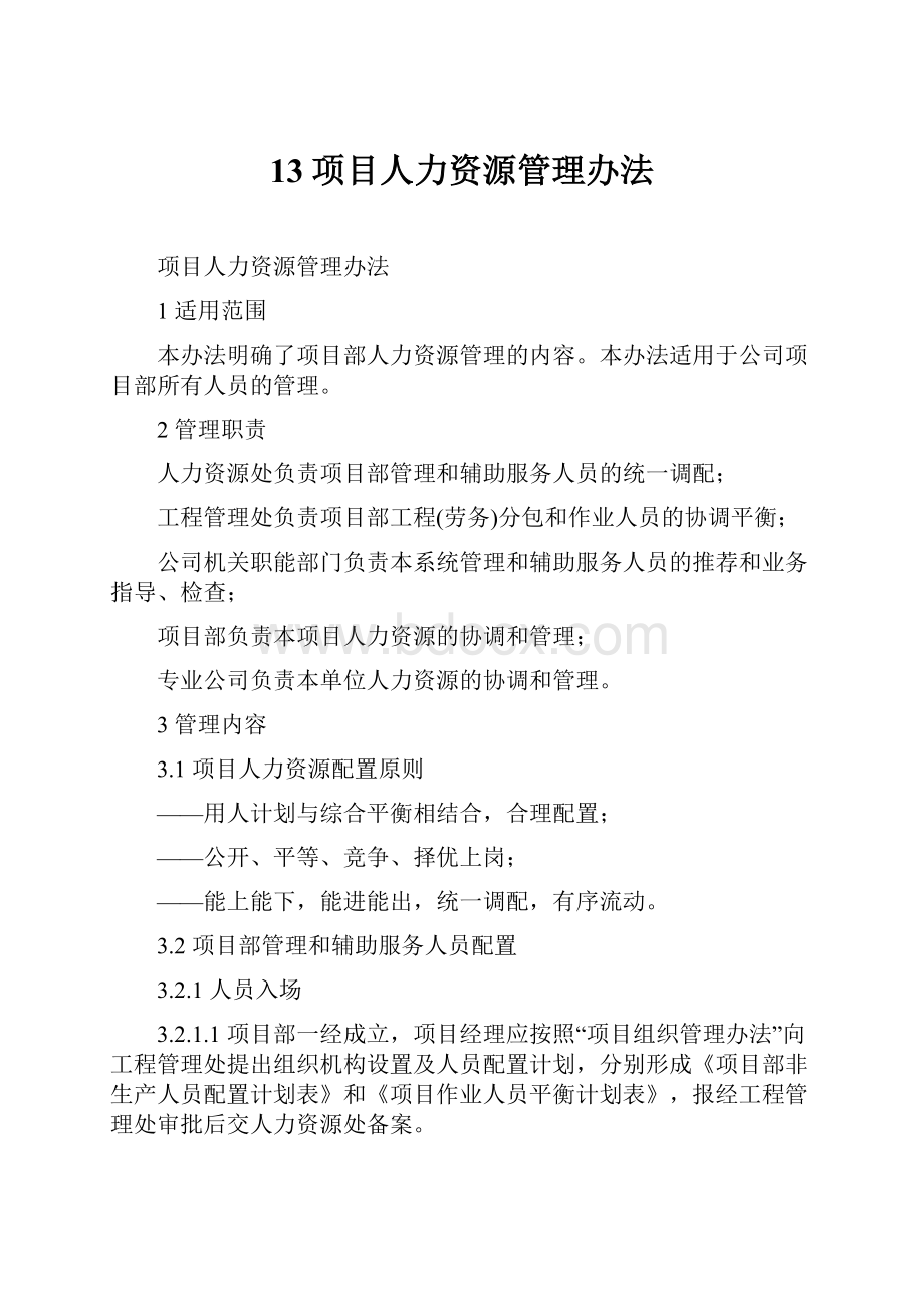 13项目人力资源管理办法.docx_第1页