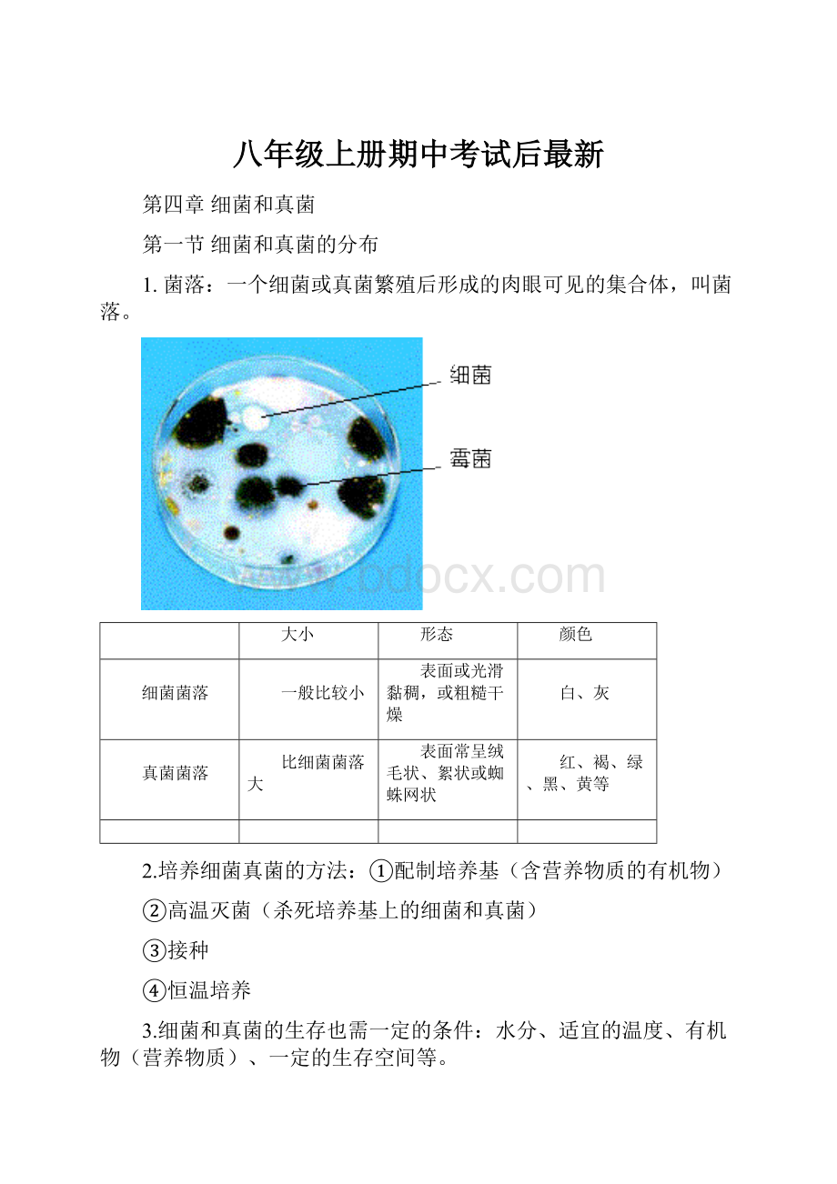 八年级上册期中考试后最新.docx_第1页