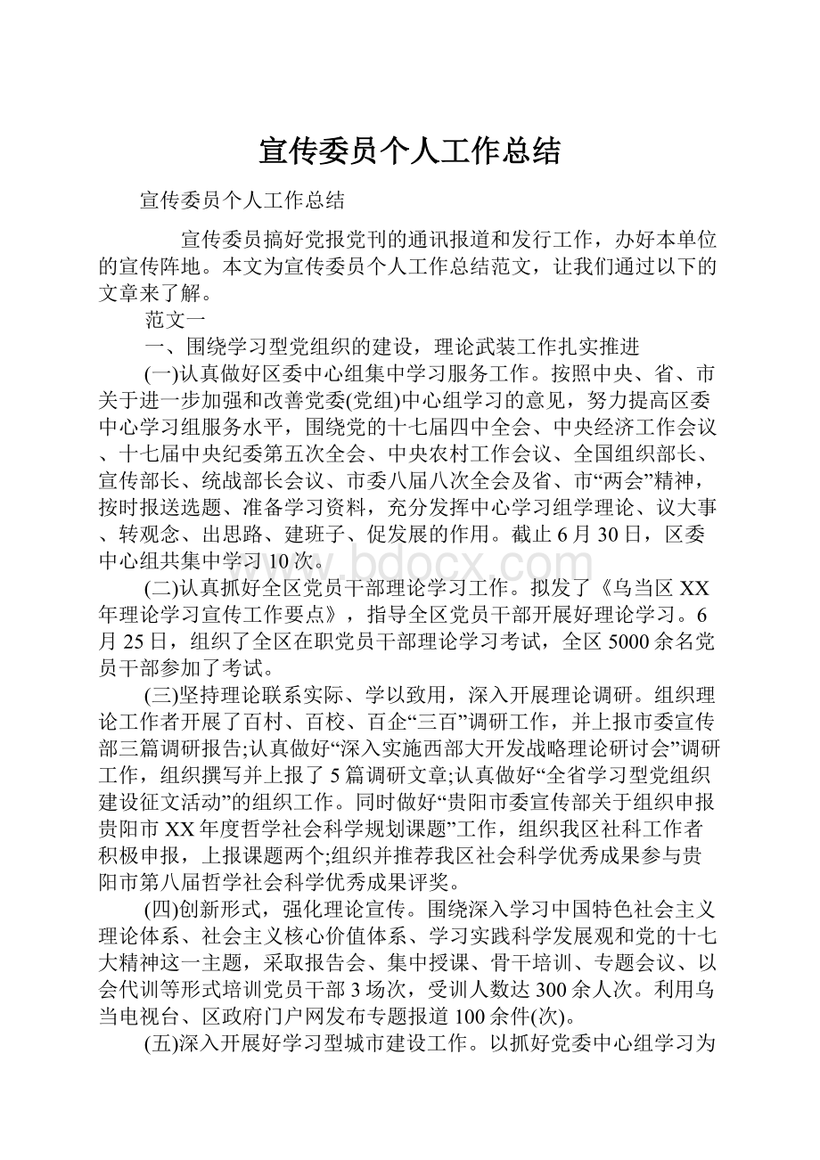 宣传委员个人工作总结.docx