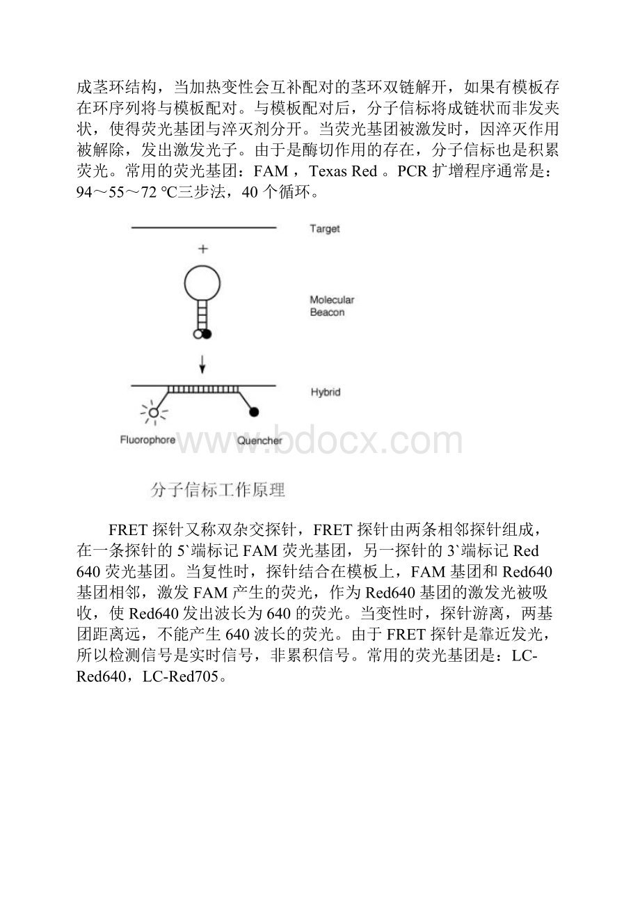 三种荧光定量PCR检测方法比较.docx_第3页