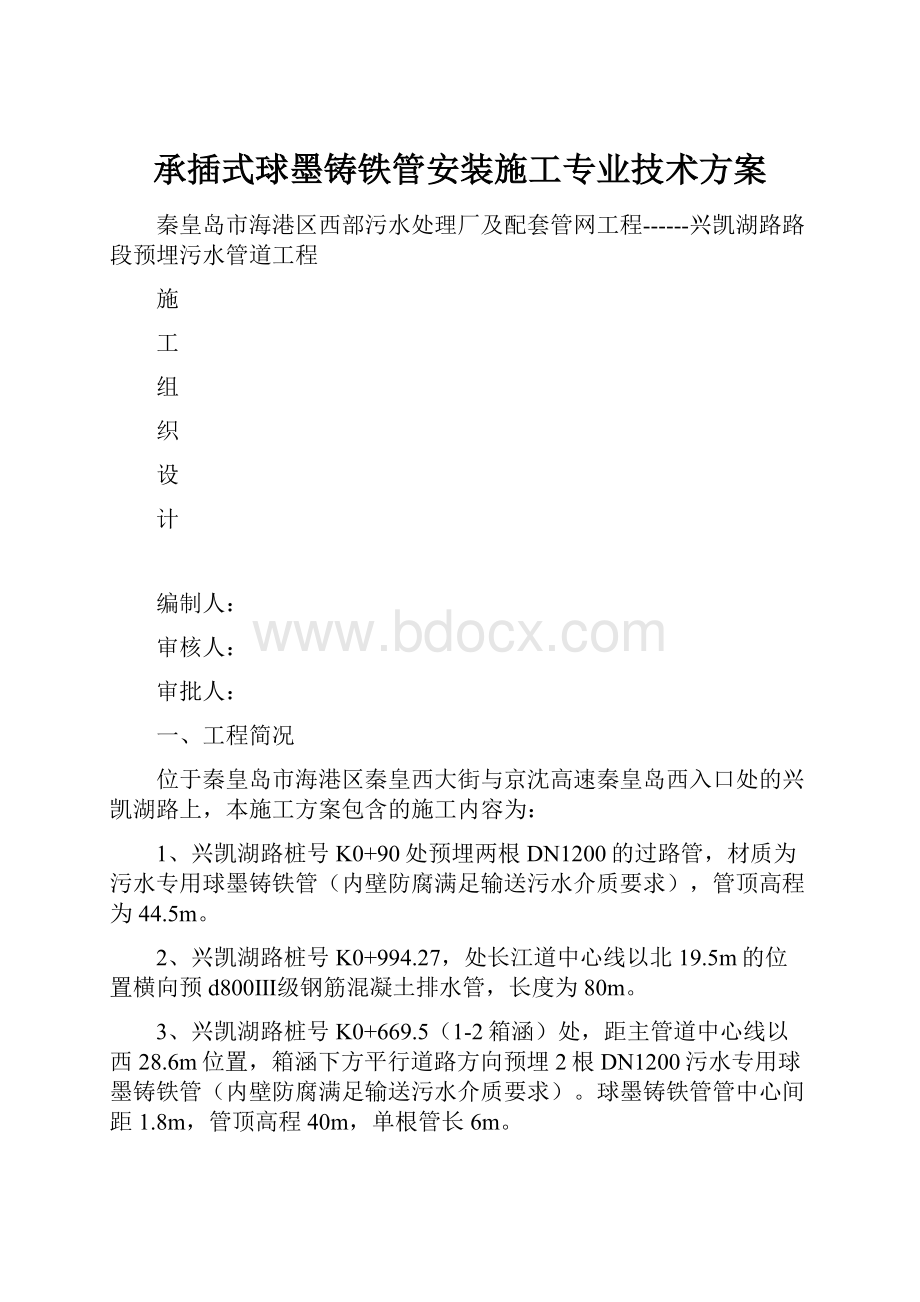 承插式球墨铸铁管安装施工专业技术方案.docx