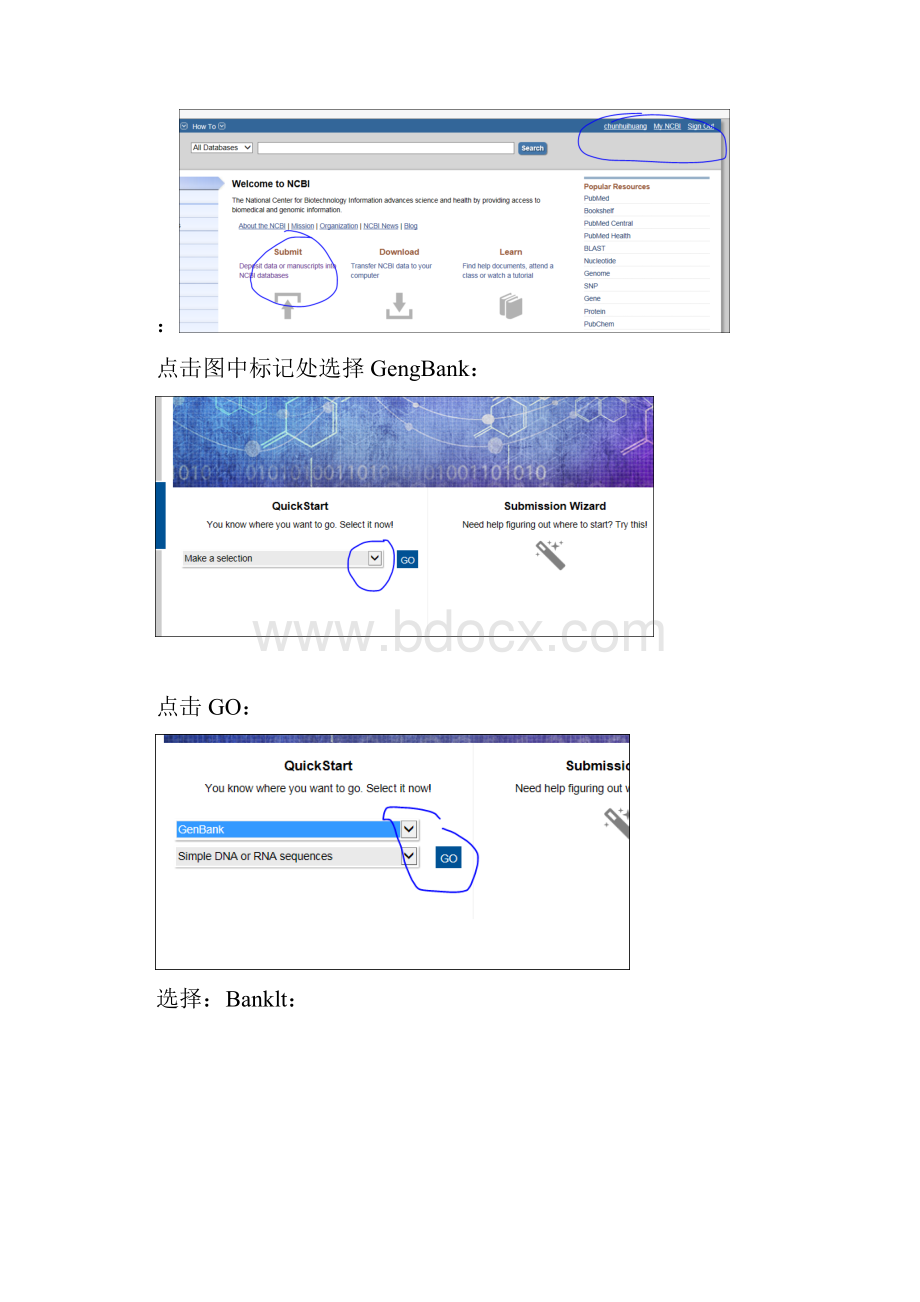 NCBI序列提交方法.docx_第2页