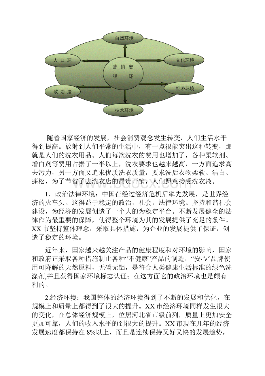 洗衣液市场推广策划.docx_第2页