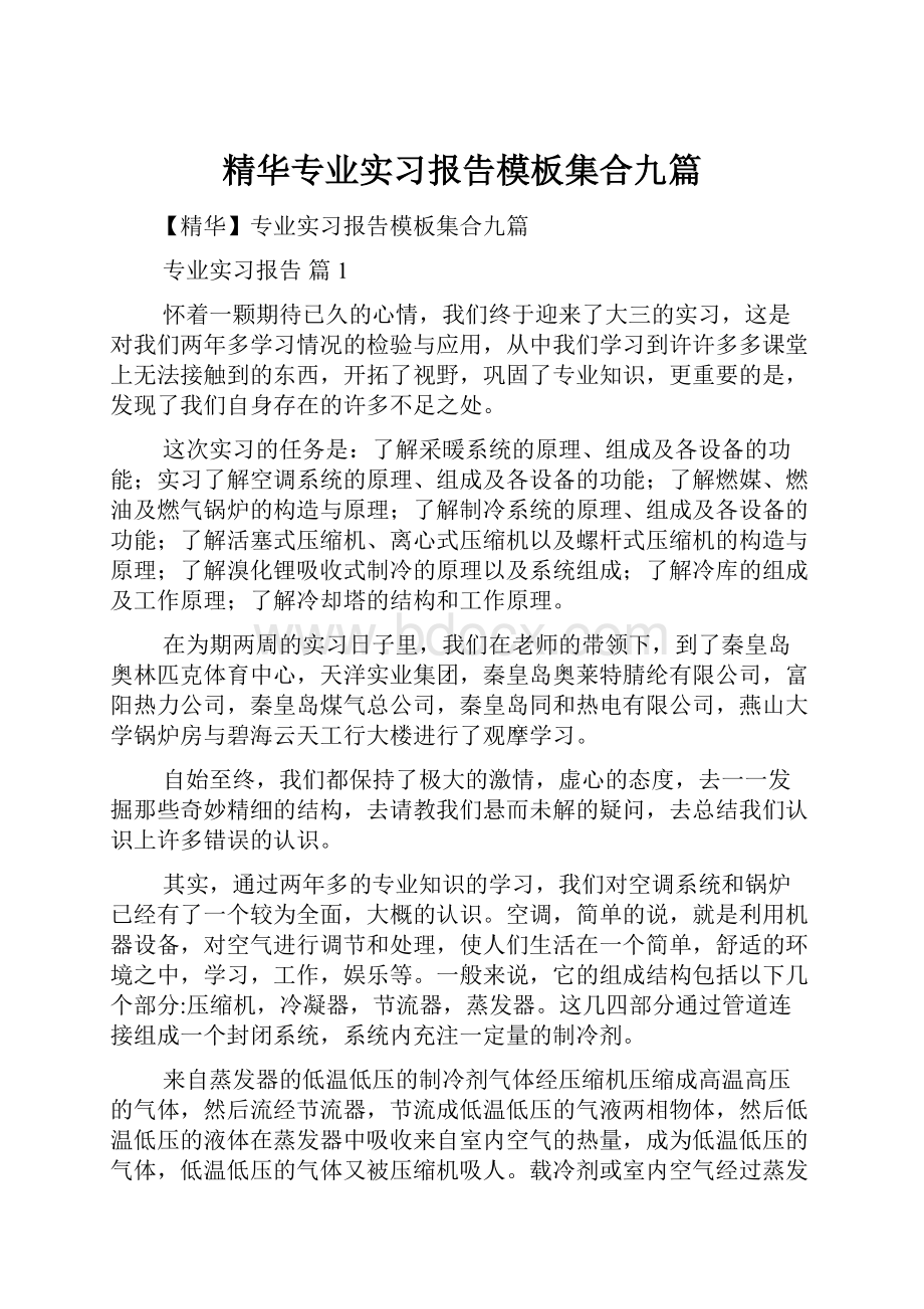 精华专业实习报告模板集合九篇.docx