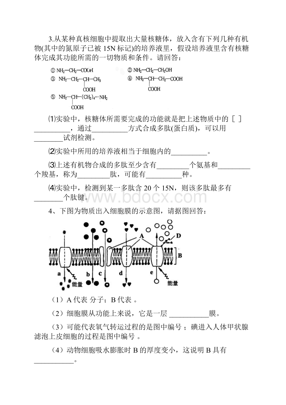 高一必修1生物期末专项练习简答题.docx_第2页