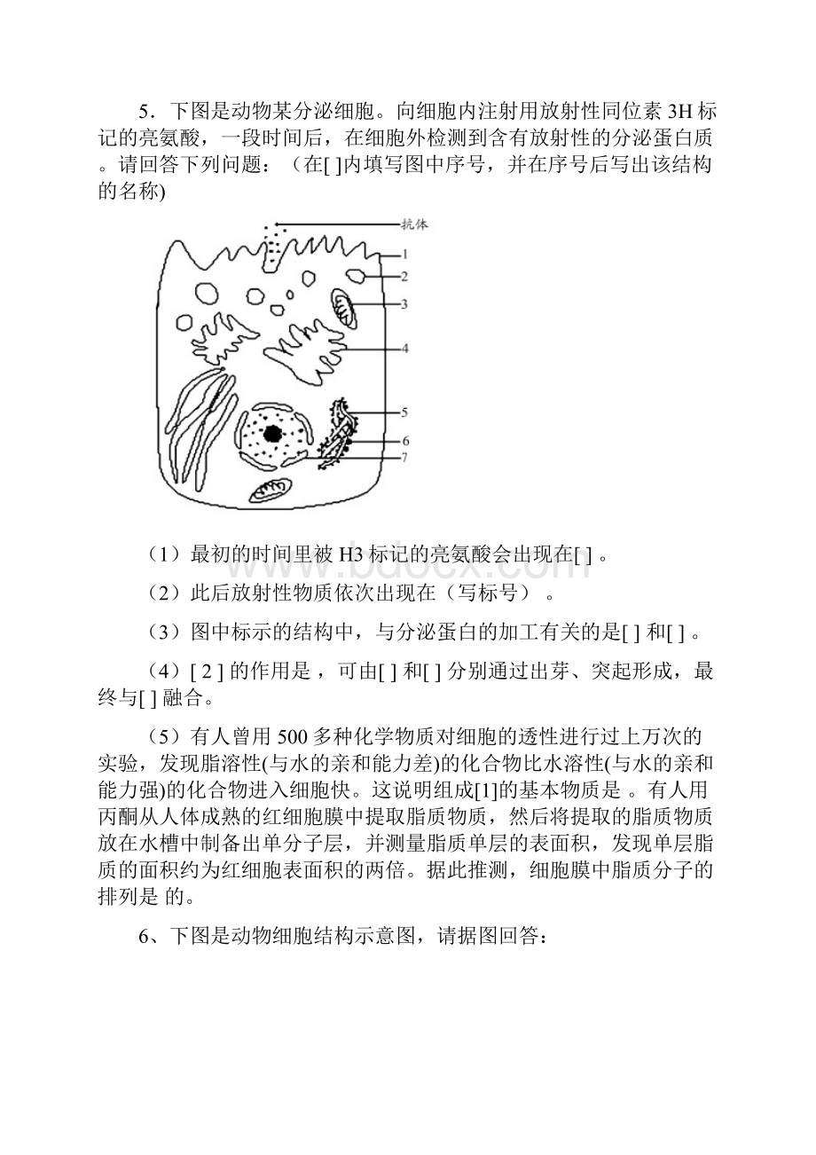 高一必修1生物期末专项练习简答题.docx_第3页