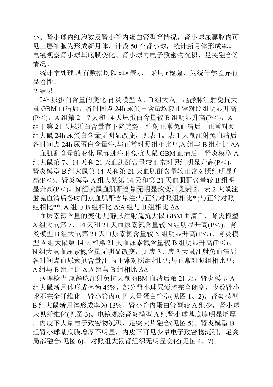 抗大鼠肾小球基底膜肾炎模型建立方法的改进.docx_第3页