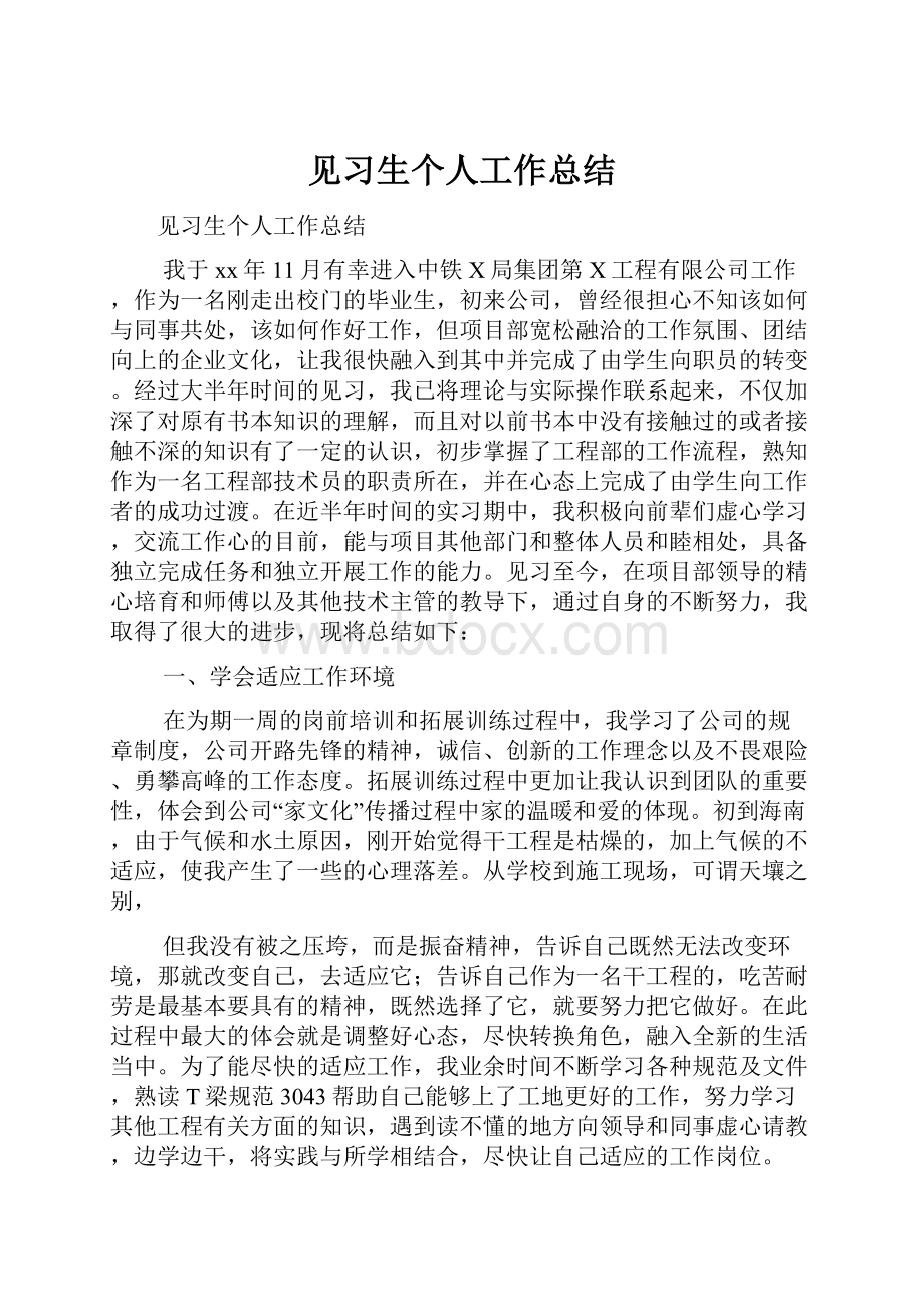 见习生个人工作总结.docx