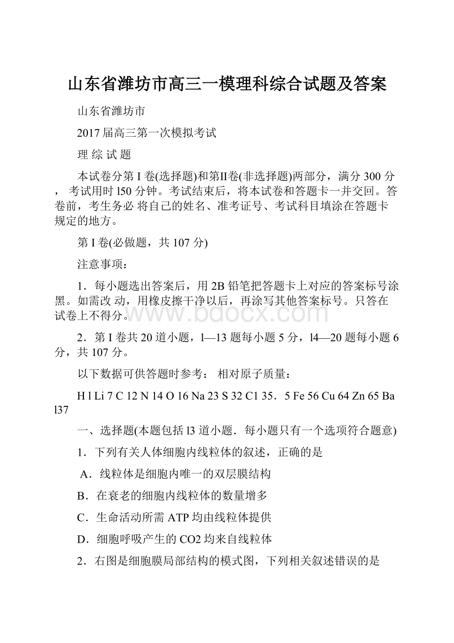 山东省潍坊市高三一模理科综合试题及答案.docx